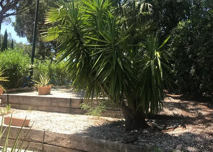 Semesterbostad Saint Tropez -parc Oasis Gassin