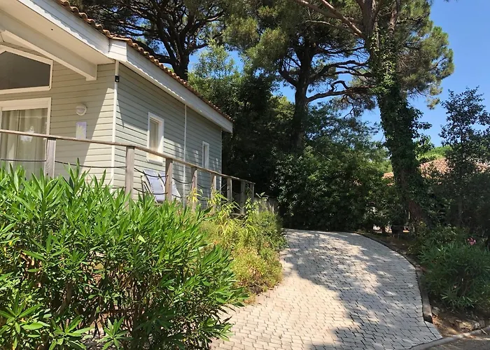 Feriehus Saint Tropez -parc Oasis Gassin