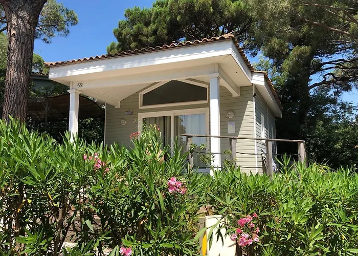 Saint Tropez -parc Oasis * جاسّا